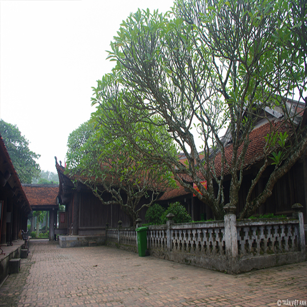 Thuê Xe Hà Nội